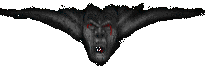 face graphic